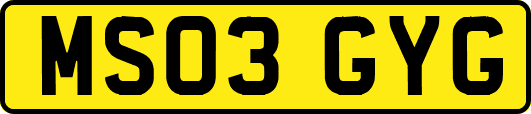 MS03GYG