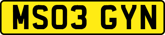 MS03GYN