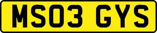 MS03GYS