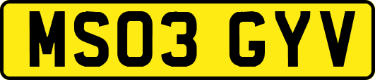 MS03GYV