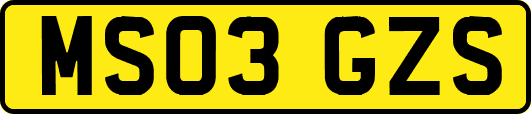 MS03GZS