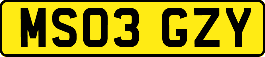 MS03GZY