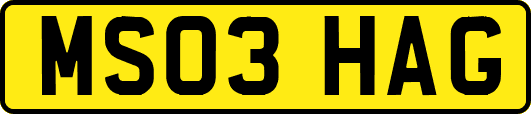 MS03HAG