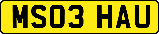 MS03HAU