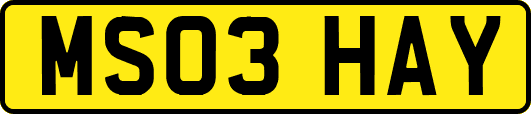 MS03HAY