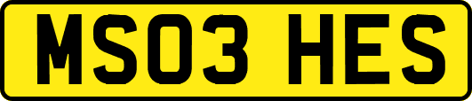 MS03HES