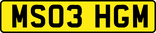 MS03HGM
