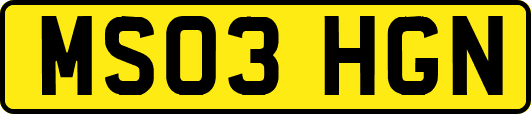 MS03HGN