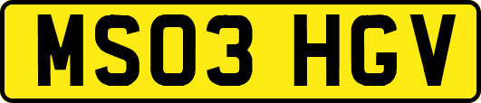 MS03HGV