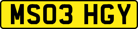 MS03HGY
