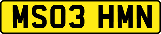 MS03HMN