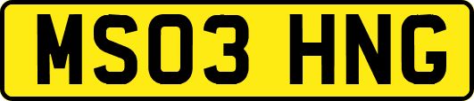 MS03HNG