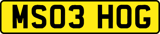 MS03HOG