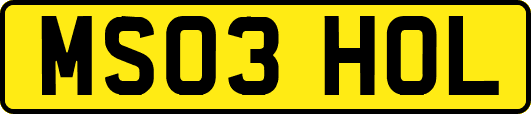 MS03HOL