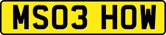 MS03HOW
