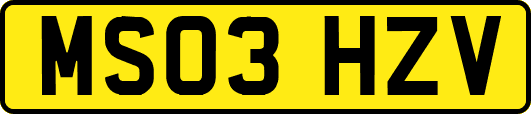 MS03HZV