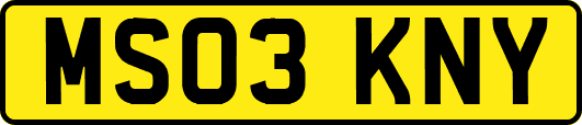MS03KNY