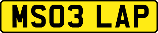 MS03LAP