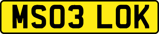 MS03LOK