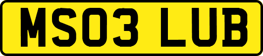 MS03LUB