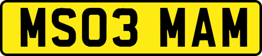MS03MAM