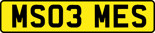 MS03MES