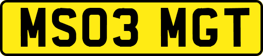MS03MGT
