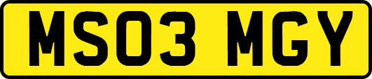 MS03MGY