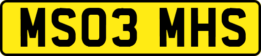 MS03MHS
