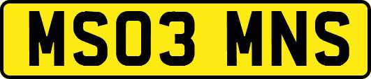 MS03MNS