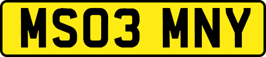 MS03MNY