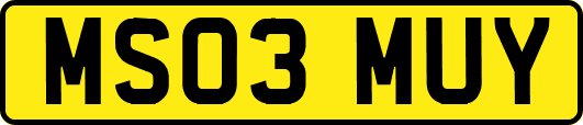 MS03MUY