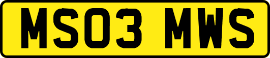 MS03MWS