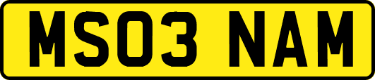 MS03NAM