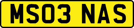 MS03NAS