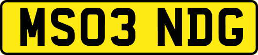 MS03NDG