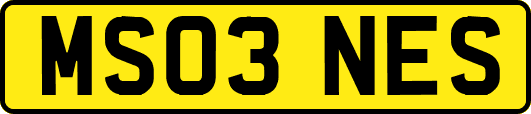 MS03NES