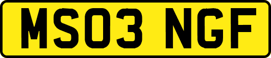 MS03NGF
