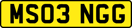MS03NGG