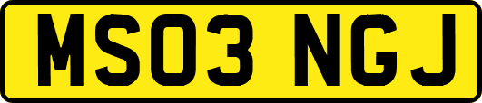 MS03NGJ