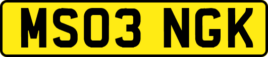 MS03NGK