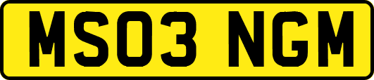MS03NGM