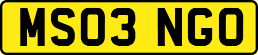 MS03NGO