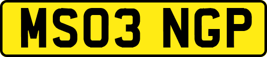 MS03NGP