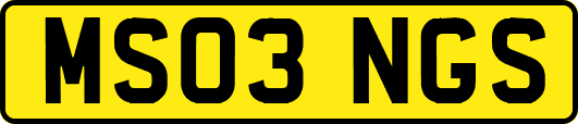 MS03NGS