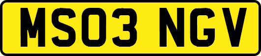 MS03NGV