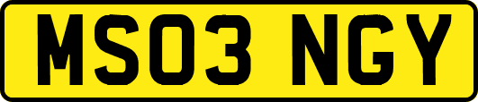 MS03NGY
