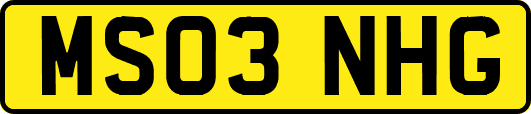 MS03NHG