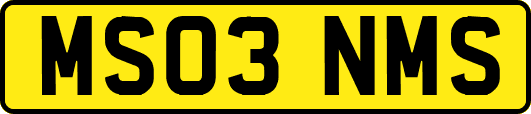 MS03NMS