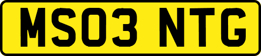 MS03NTG